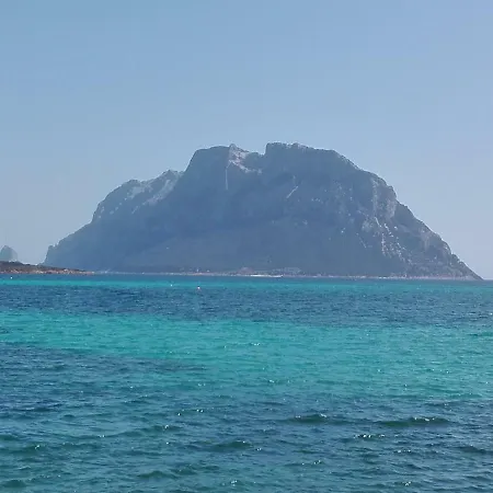 Rosa Fronte Mare